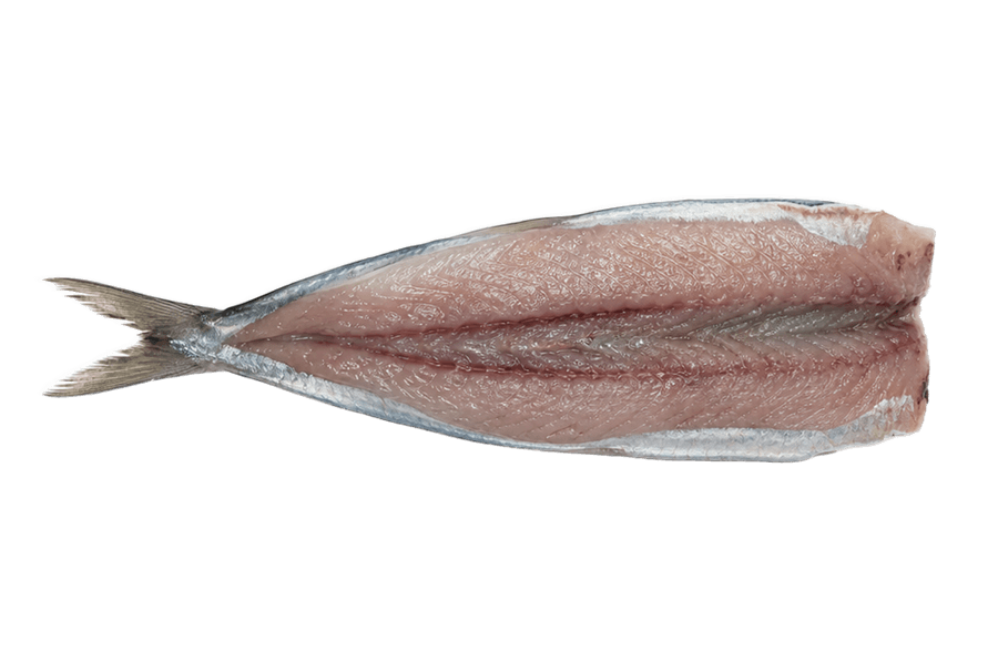 Sardinha aberta em manta com os cortes