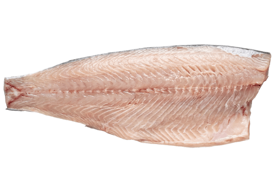 Filé de tainha com os cortes